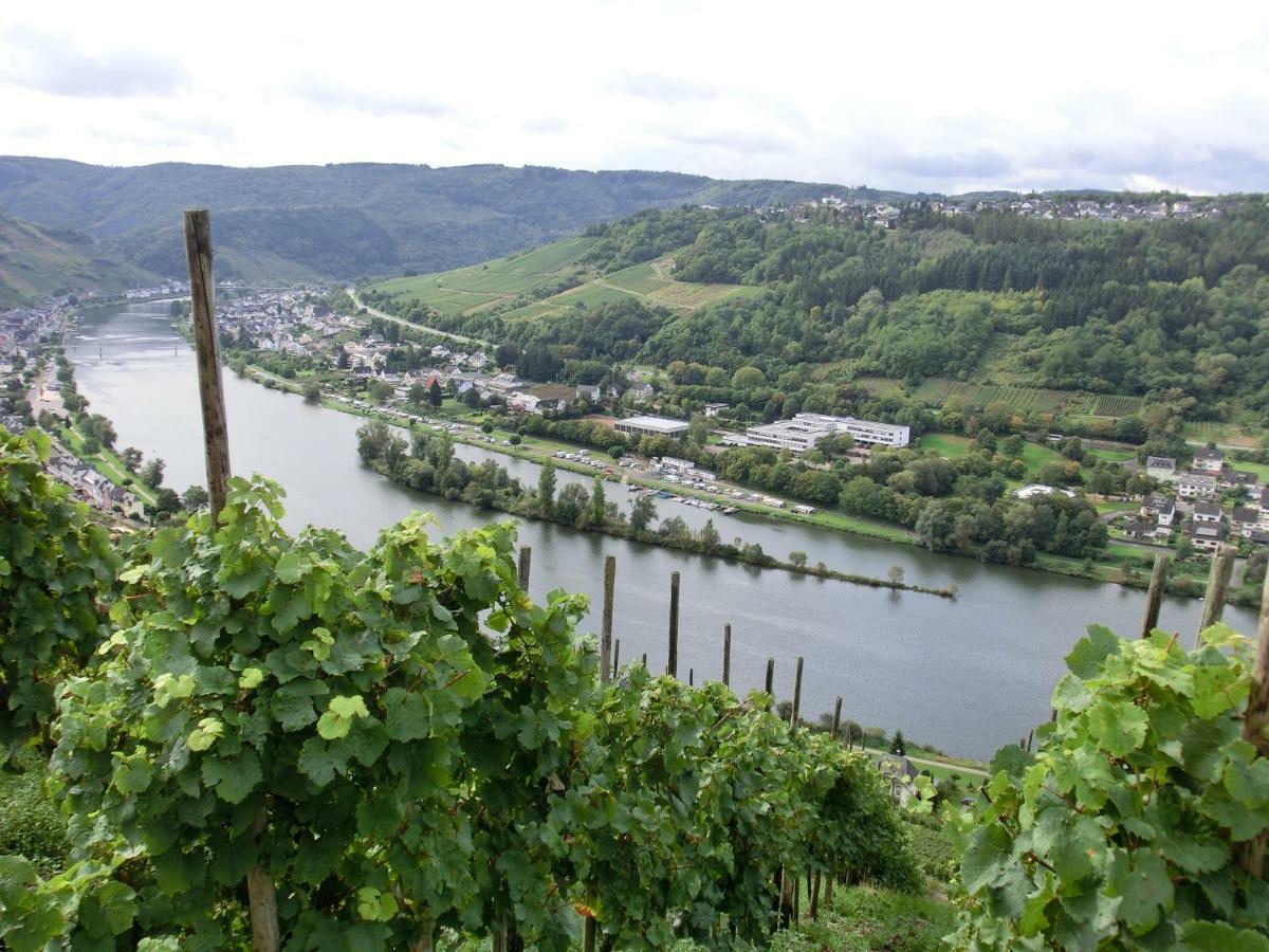 Beim Winzer Apartman Zell an der Mosel Kültér fotó